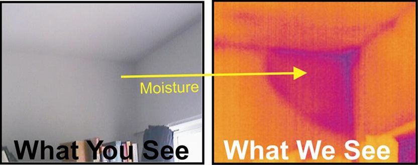 Thermography